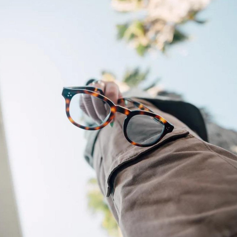 Sunglasses | Clara
