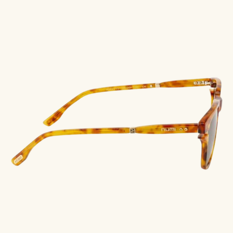 Sunglasses | Daria