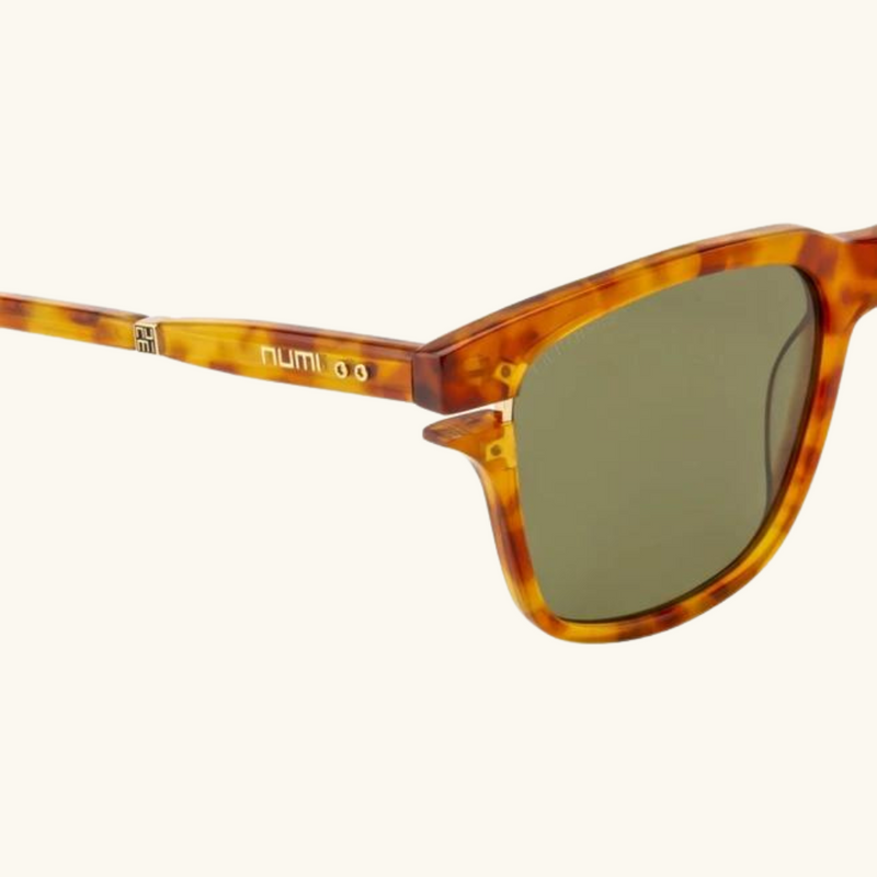 Sunglasses | Daria