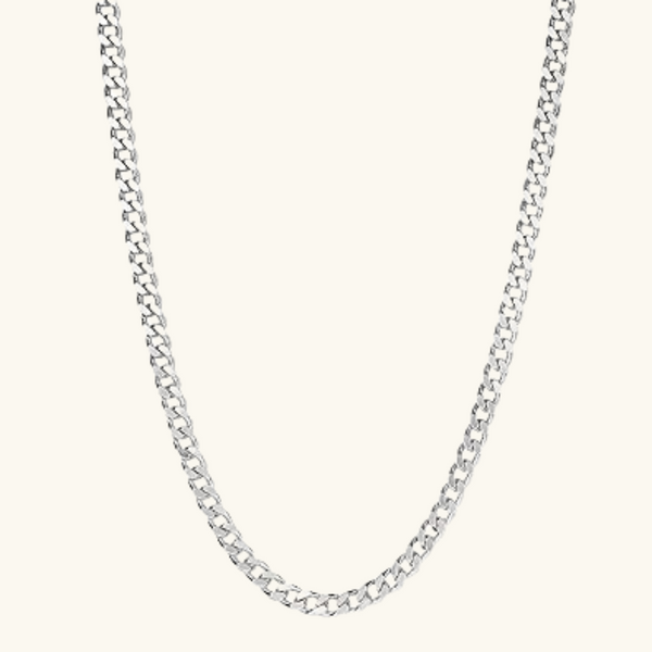 Silver Necklace | Phoenix